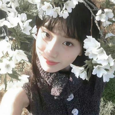 渡清欢